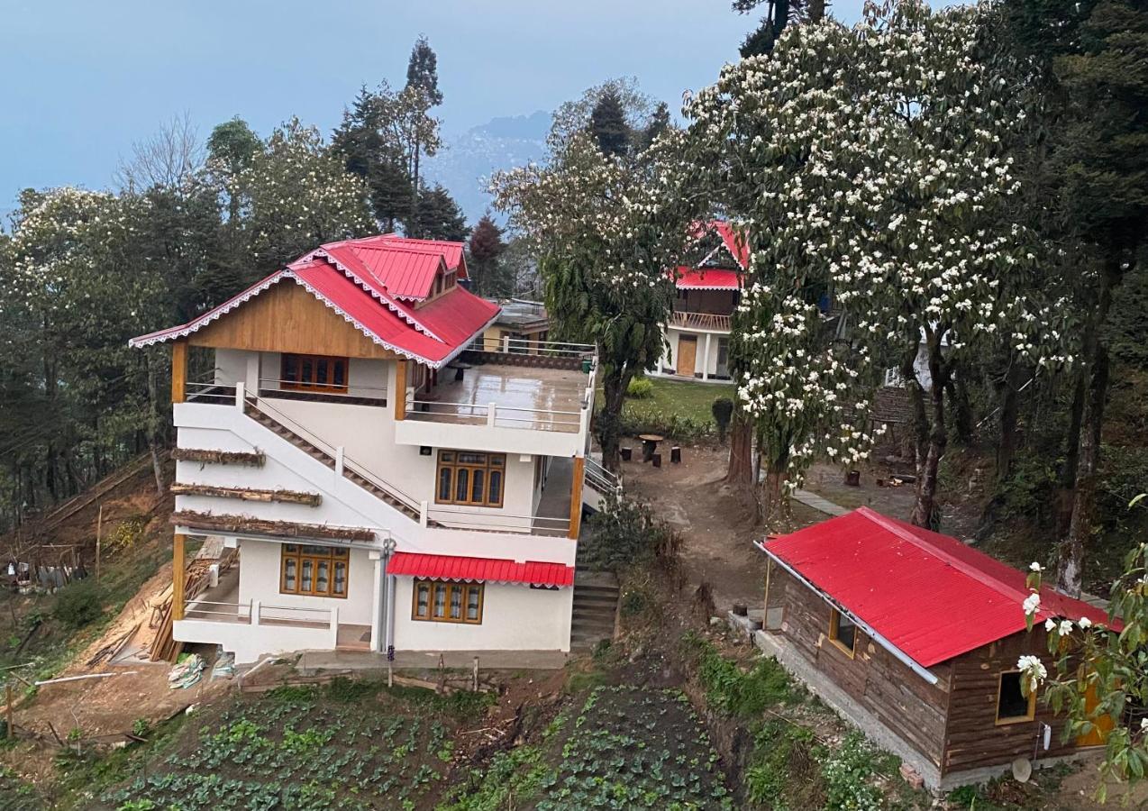 Bloomfield Farmhouse And Eco-Resort 大吉岭 外观 照片
