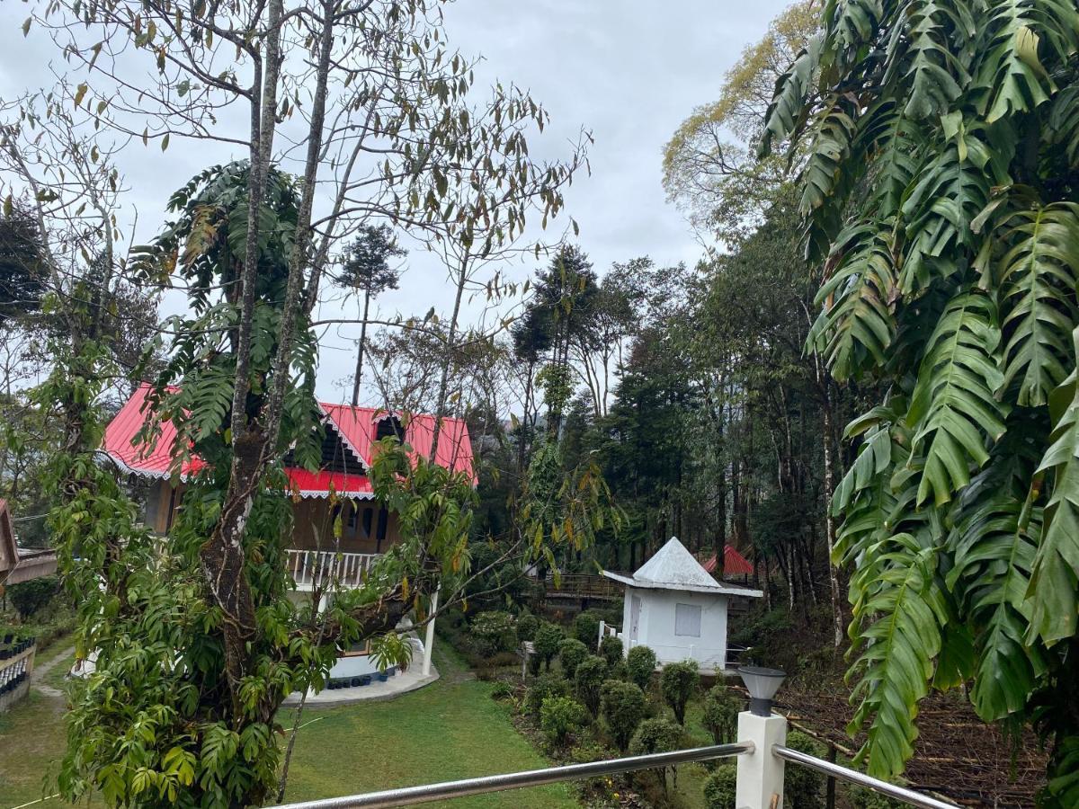 Bloomfield Farmhouse And Eco-Resort 大吉岭 外观 照片