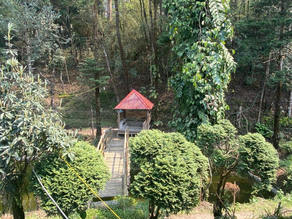 Bloomfield Farmhouse And Eco-Resort 大吉岭 外观 照片