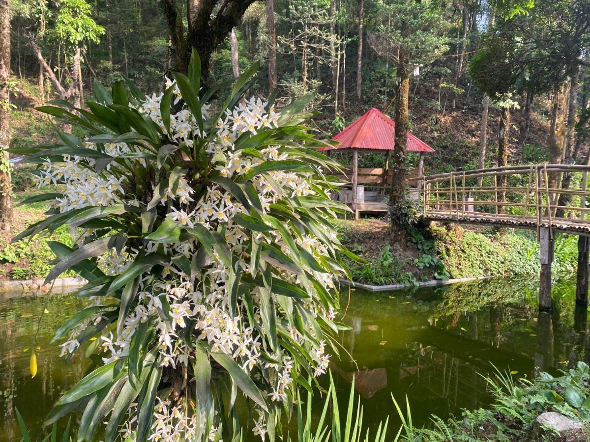 Bloomfield Farmhouse And Eco-Resort 大吉岭 外观 照片