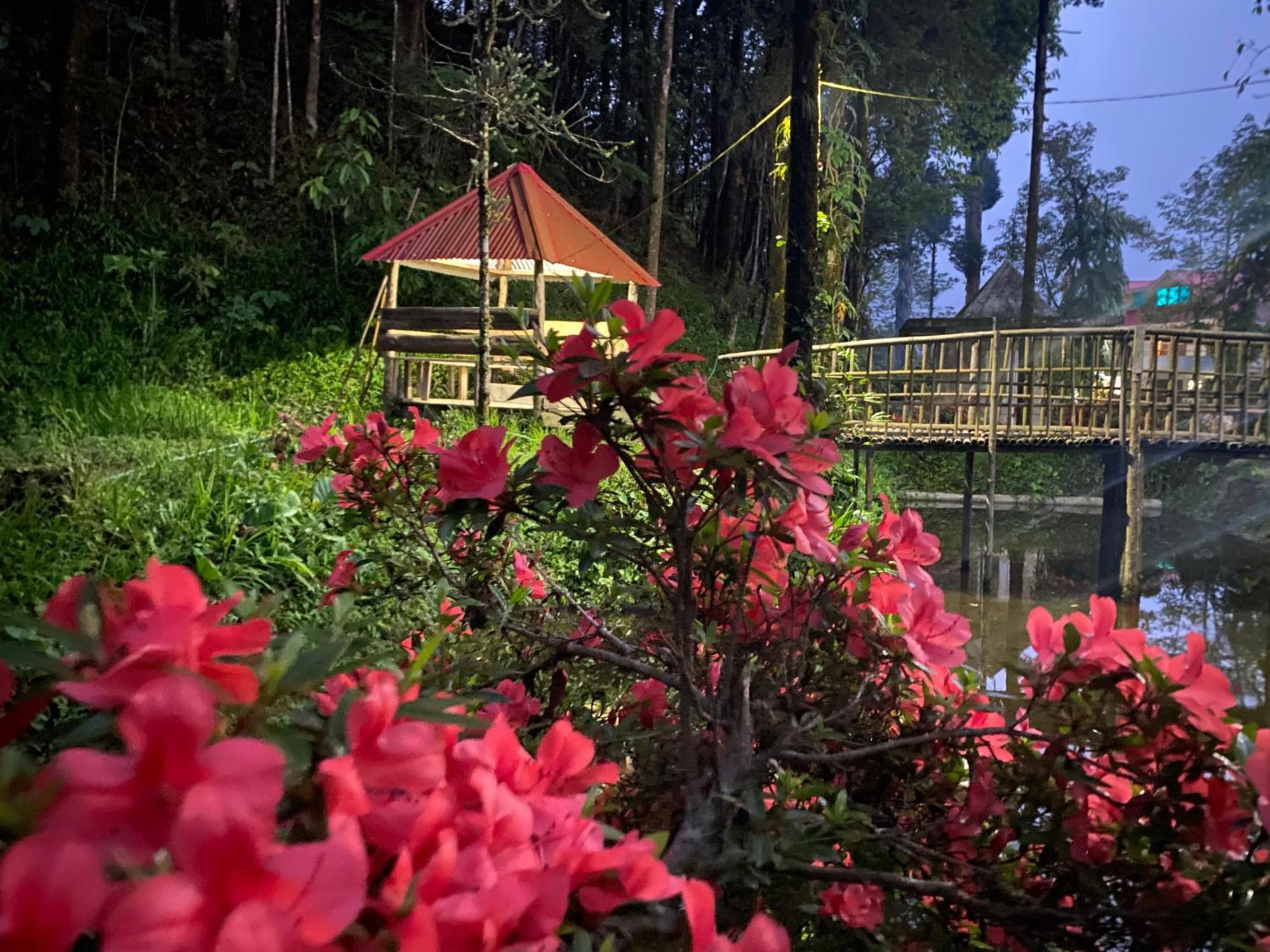 Bloomfield Farmhouse And Eco-Resort 大吉岭 外观 照片