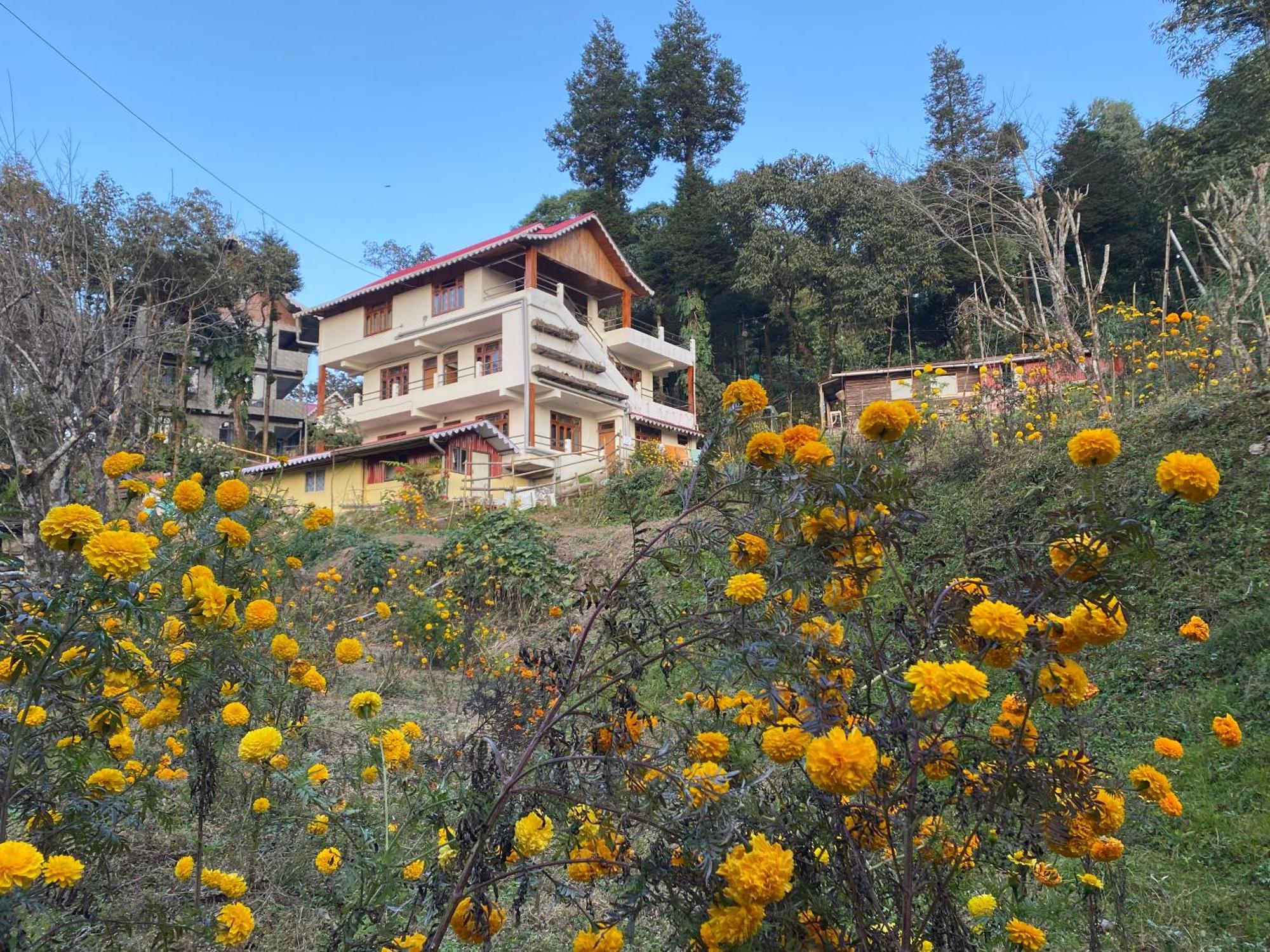 Bloomfield Farmhouse And Eco-Resort 大吉岭 外观 照片