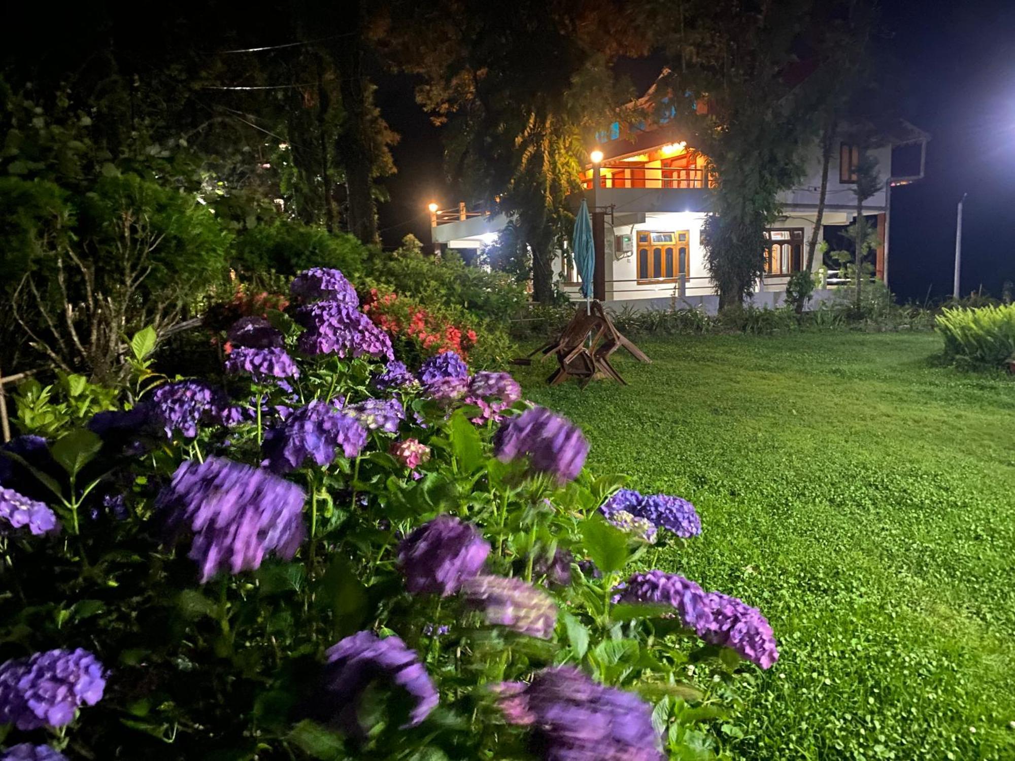 Bloomfield Farmhouse And Eco-Resort 大吉岭 外观 照片